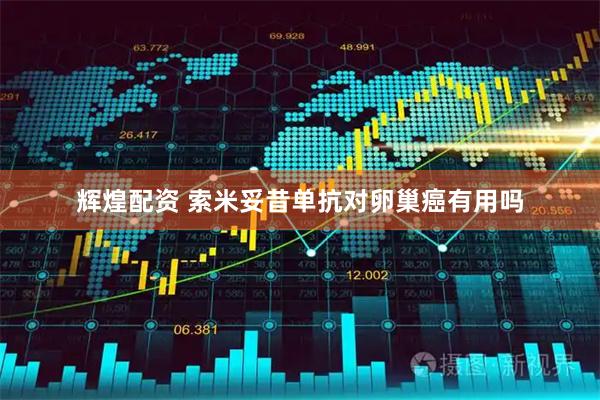 辉煌配资 索米妥昔单抗对卵巢癌有用吗