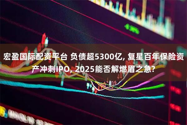 宏盈国际配资平台 负债超5300亿, 复星百年保险资产冲刺IPO, 2025能否解燃眉之急?