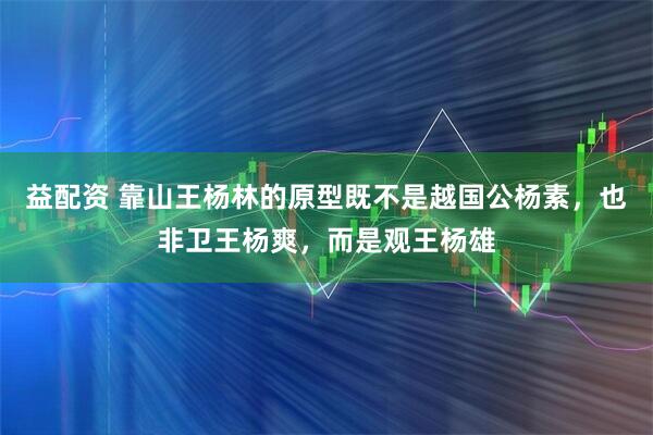 益配资 靠山王杨林的原型既不是越国公杨素，也非卫王杨爽，而是观王杨雄