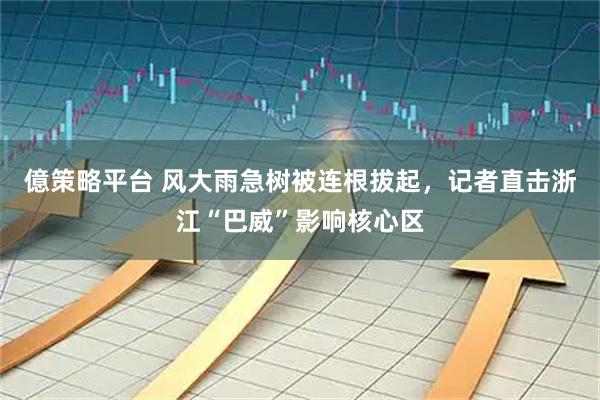 億策略平台 风大雨急树被连根拔起，记者直击浙江“巴威”影响核心区