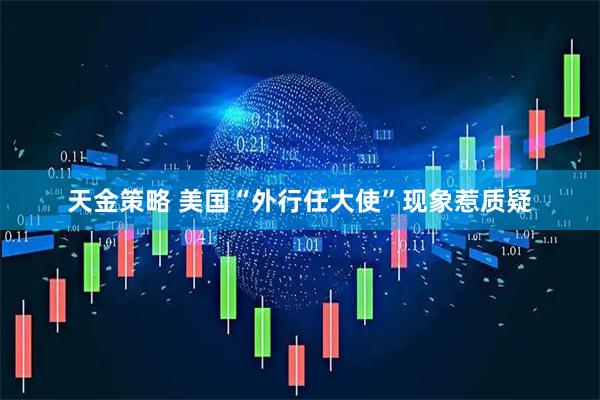天金策略 美国“外行任大使”现象惹质疑