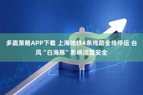 多赢策略APP下载 上海地铁4条线路全线停运 台风“白海豚”影响运营安全
