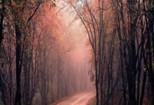 天津炒股配资开户:股票怎么样开户,买入卖出-碳酸锂跌破6万元／吨 企业称“剪刀差”会带来盈利压力